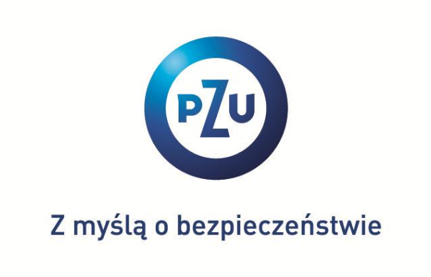 Zakup zestawu rusztowań do pracy na wysokościach